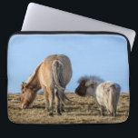 Think Big Laptop Case<br><div class="desc">Tiddles dreaming and Haakon ignoring - together</div>
