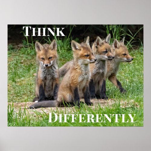  Think Differently Fox Poster