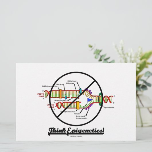 Think Epigenetics! (Cross Out DNA Replication) (Standing Front)