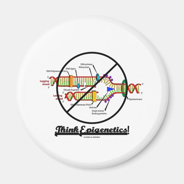 Think Epigenetics! (Cross Out DNA Replication) Magnet (Front)