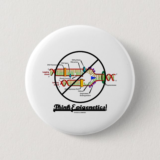 Think Epigenetics! (Cross Out DNA Replication) Pinback Button (Front)
