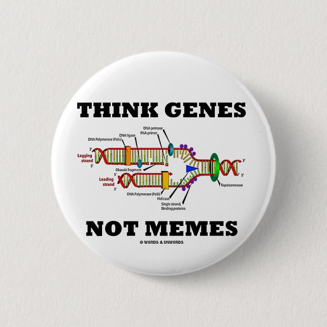 Think Genes Not Memes (DNA Replication) Button (Front)