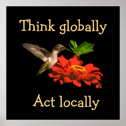 Think Globally Act Locally Hummingbird Poster