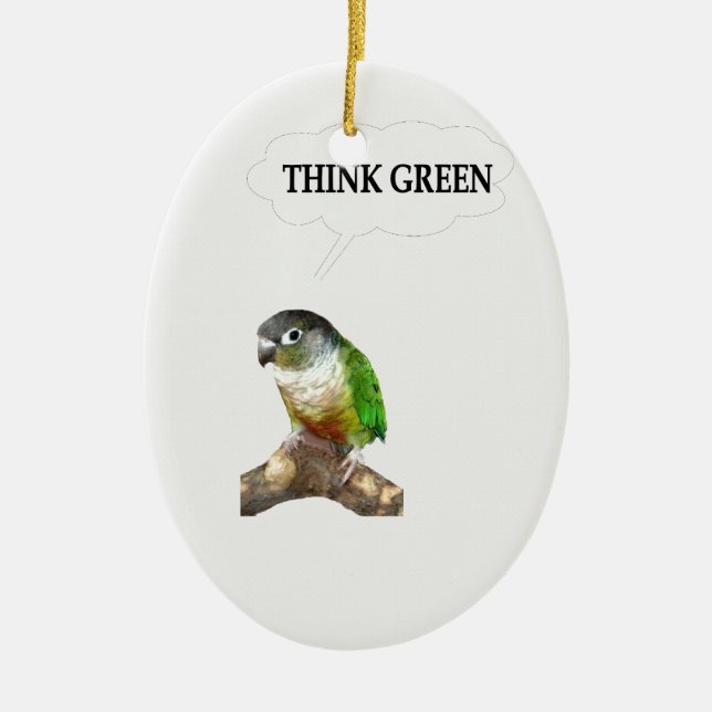 Think Green 2 Ceramic Ornament (Front)