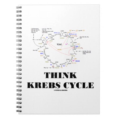 Think Krebs Cycle Citric Acid Cycle _ TCAC Notebook