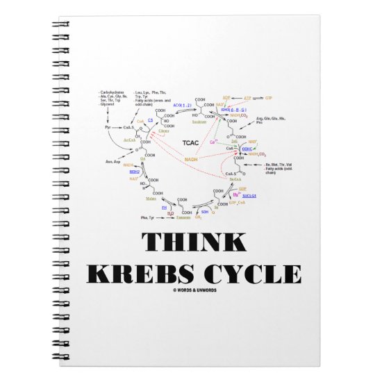 Think Krebs Cycle Citric Acid Cycle - TCAC Notebook