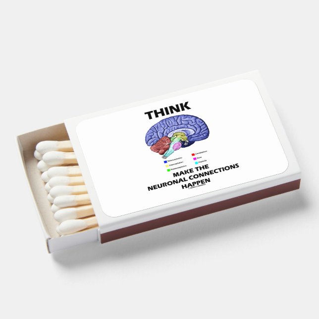Think Make The Neuronal Connections Happen Brain Matchboxes (Front Open)