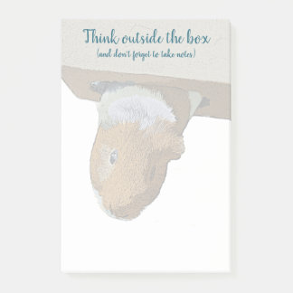 Think Outside the Box Guinea Pig Notes