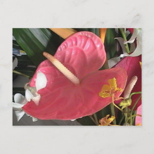 Think Pink Postcard