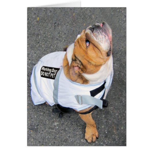 Think Positive (Front)