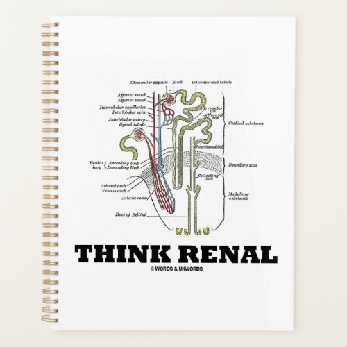 Think Renal Kidney Nephron Advice Planner