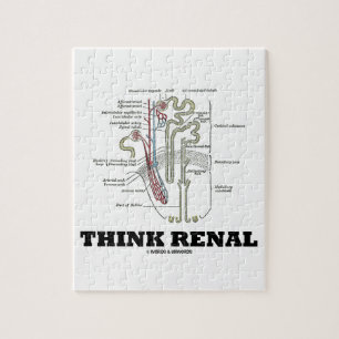 Think Renal (Nephron Anatomy Illustration) Jigsaw Puzzle