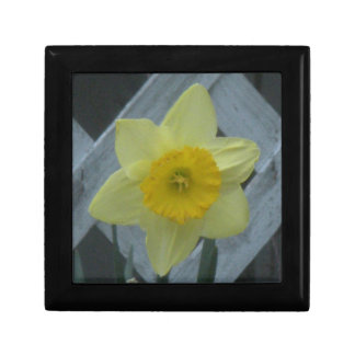 Think Spring! Gift Box
