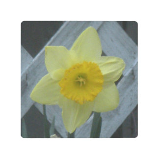 Think Spring! Metal Print