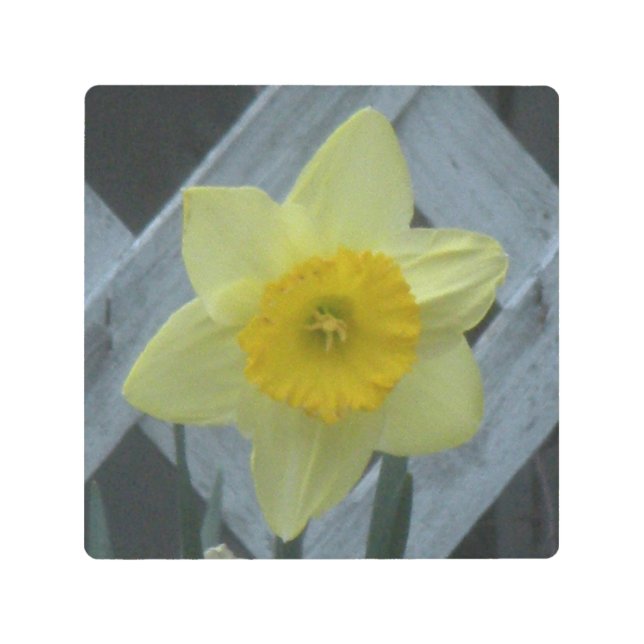 Think Spring! Metal Print (Front)