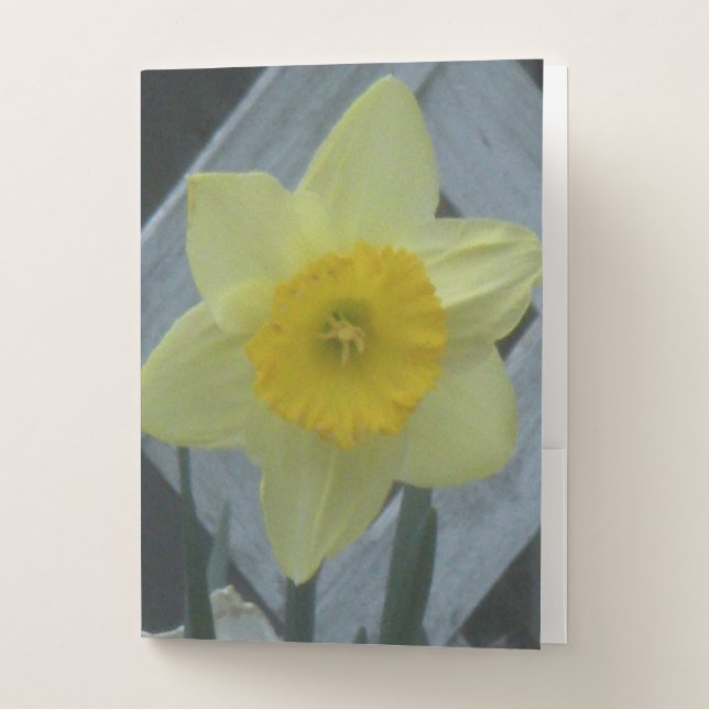 Think Spring! Pocket Folder (Front)