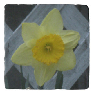 Think Spring! Trivet