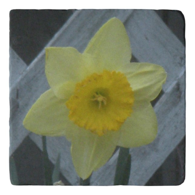 Think Spring! Trivet (Front)