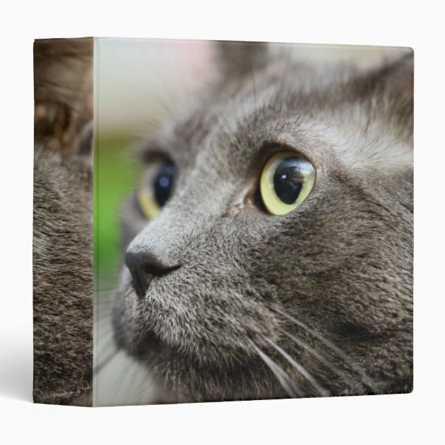 Thinking 3 Ring Binder (Front/Spine)