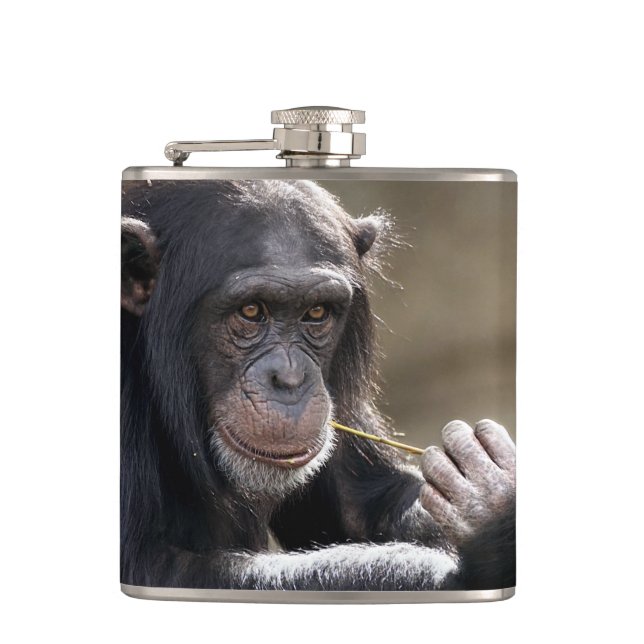 Thinking About Monkeying Around Flask (Front)