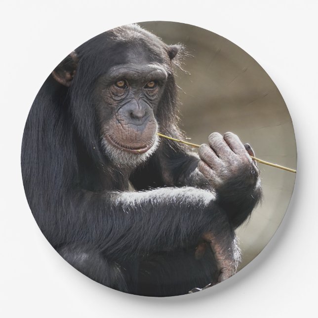 Thinking About Monkeying Around Paper Plates (Front)