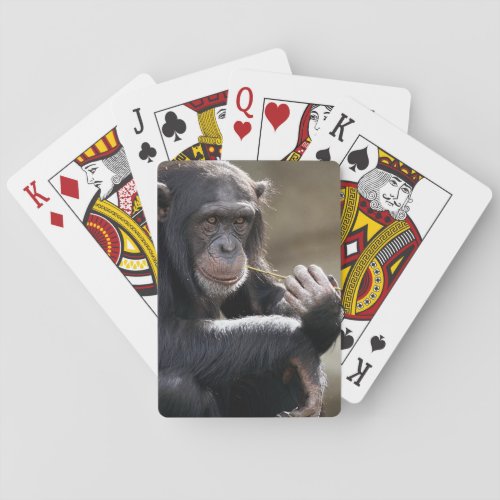 Thinking About Monkeying Around Playing Cards