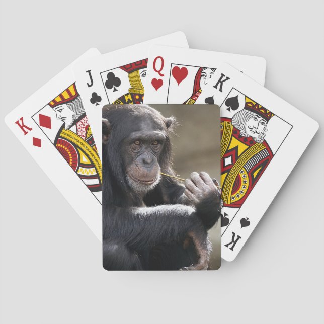 Thinking About Monkeying Around Poker Cards (Back)