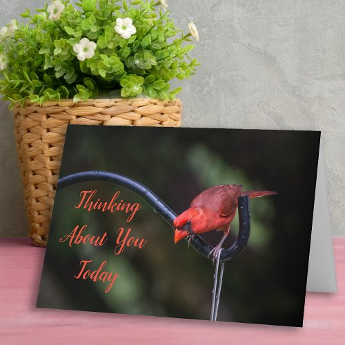 Thinking About You Today Greeting Card