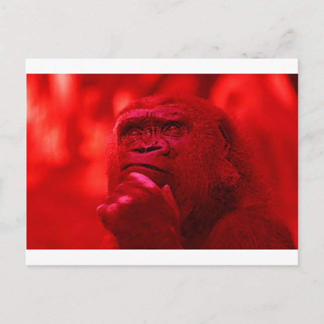 Thinking Gorilla Postcard (Front)