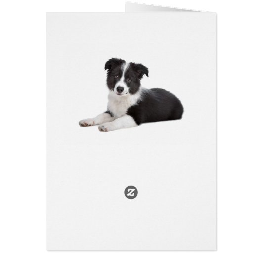 Thinking of Border Collie Puppy Dog Card (Back)
