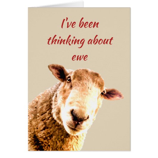 Thinking of  Ewe  Funny Sheep Animal Humor Cards (Front)
