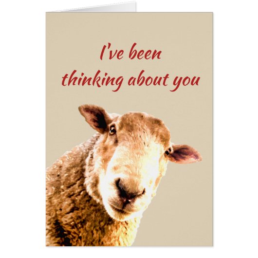 Thinking of  Ewe  Funny Sheep Animal Humor Cards (Front)