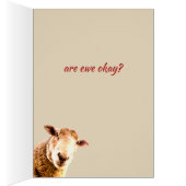 Thinking of  Ewe  Funny Sheep Animal Humor Cards (Inside (Right))