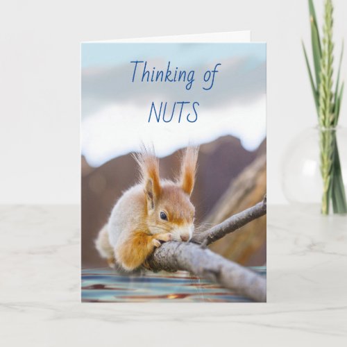 Thinking of Nuts and You of Course with Squirrel Card