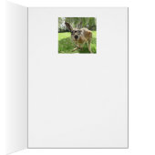 Thinking of Roo Fun Kangaroo Australia Animal art (Inside (Right))