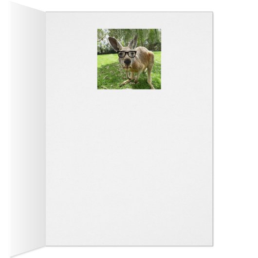 Thinking of Roo Fun Kangaroo Australia Animal art (Inside (Right))