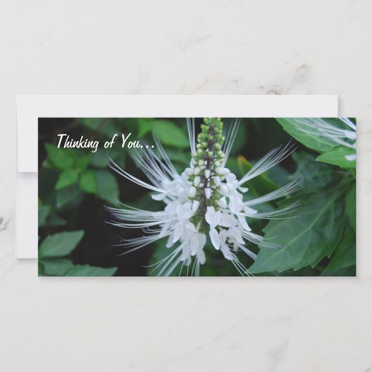 Thinking of you (Front)