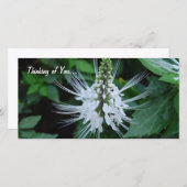 Thinking of you (Front/Back)