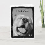 Thinking Of You A Lot Card at Zazzle