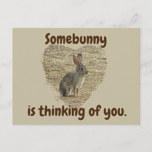 Thinking of You Adorable Bunny in Heart Friendship Postcard
