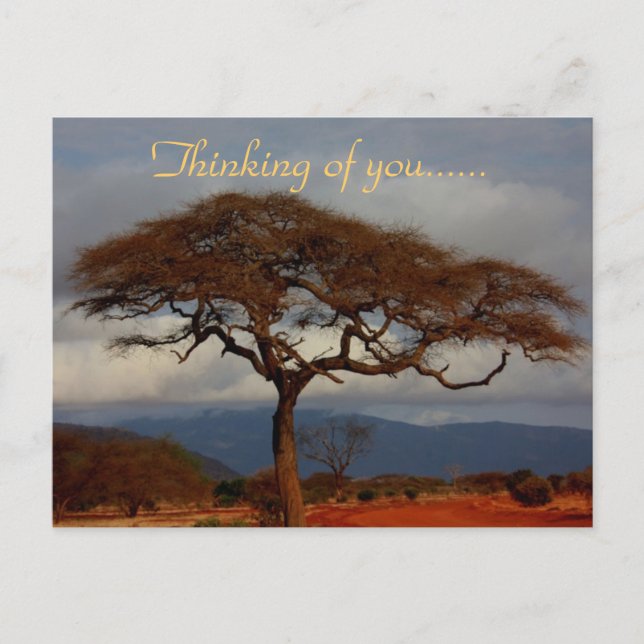 Thinking Of You Africa Postcard (Front)