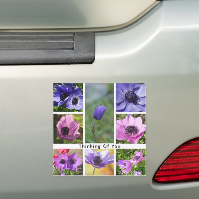 Thinking of You Anemone Photo Collage Car Magnet (In Situ)