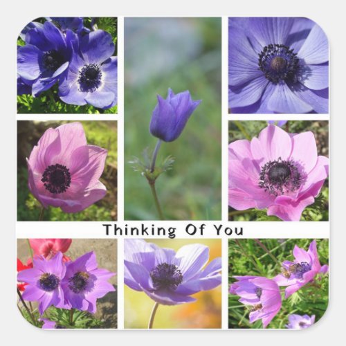 Thinking of You Anemone Photo Collage Square Sticker