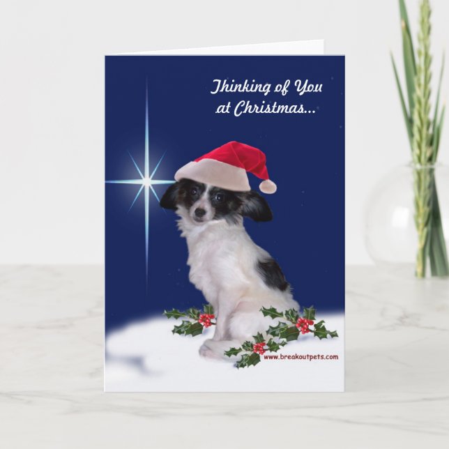 "Thinking of You at Christmas" Papillon Card (Front)