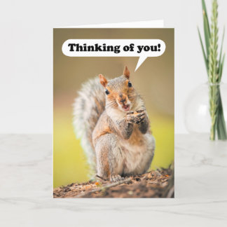 Thinking of You at Summer Camp Talking Squirrel Holiday Card