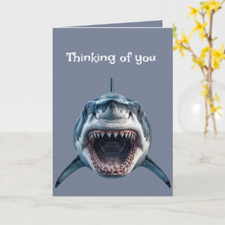 Thinking of You Australian Funny Joke Shark Card