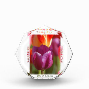 Thinking of You Award