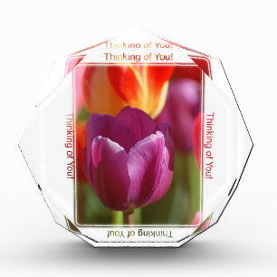 Thinking of You Award