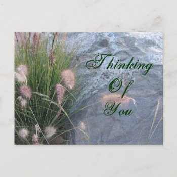 Thinking Of You Beach Photo Postcard by DonnaGrayson_Photos at Zazzle