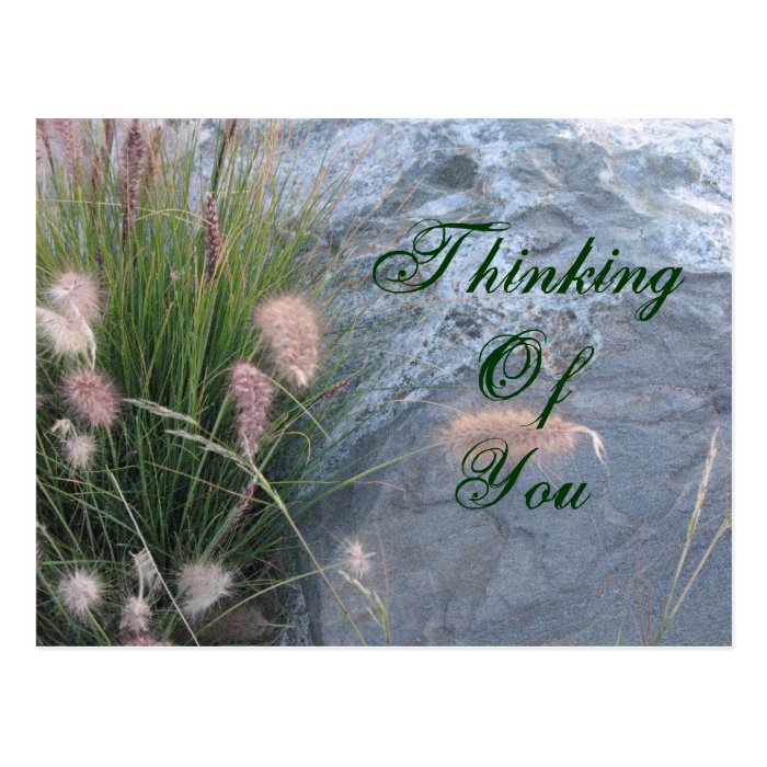 Thinking of You beach photo Postcards